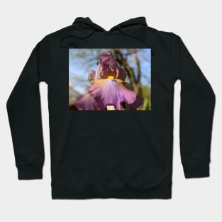 Lavender Iris 5 Hoodie